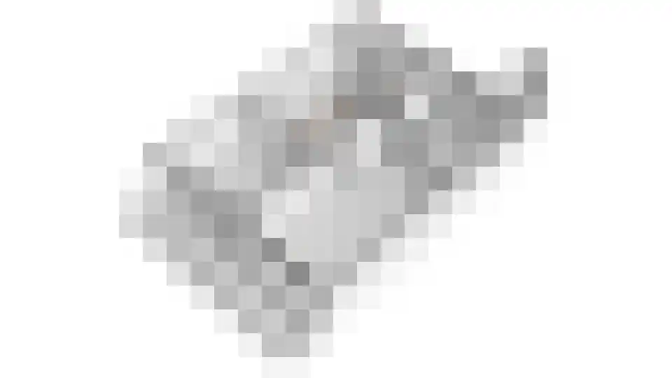 Dokter van Stratenweg 653 Gorinchem thumbnail 32