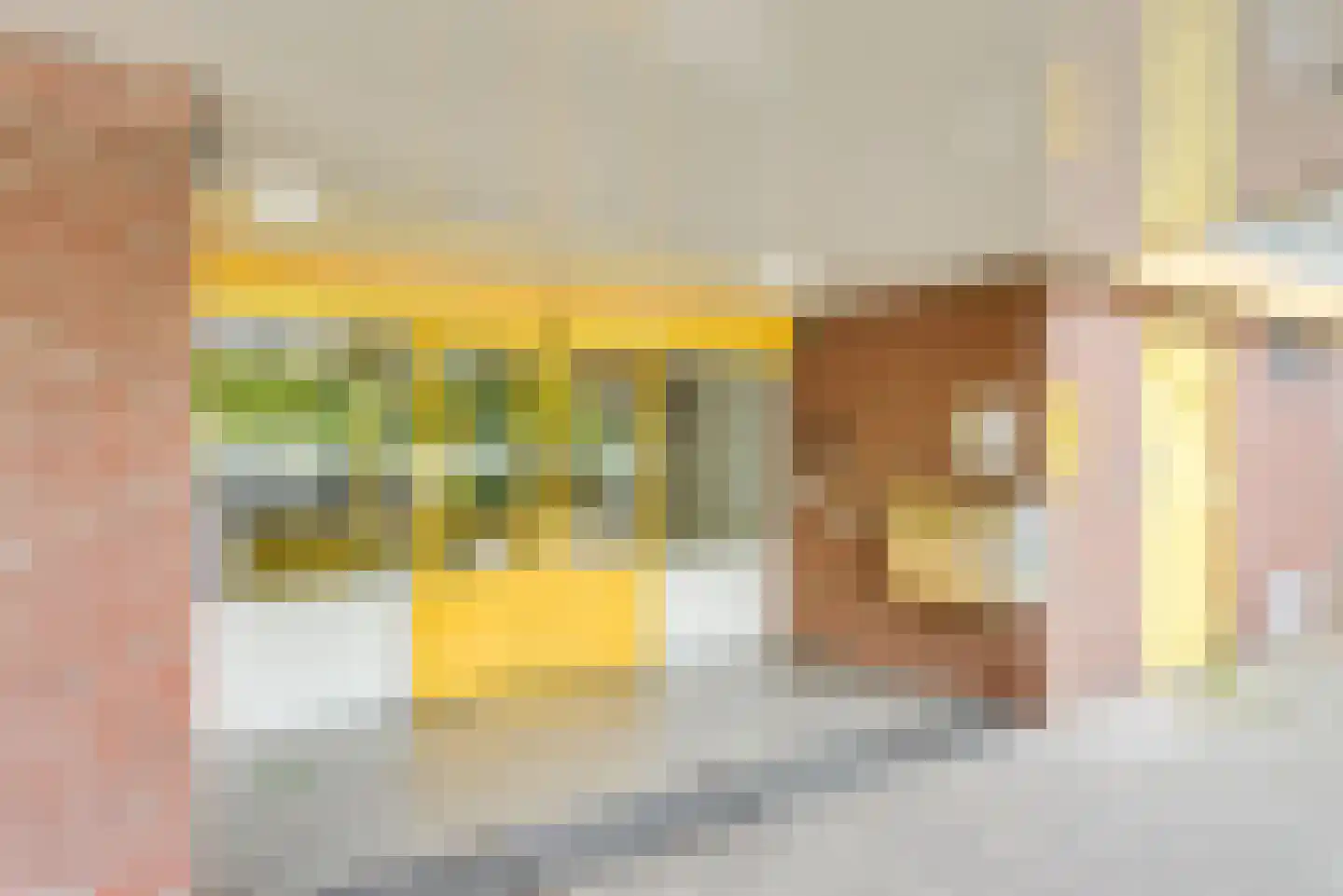 Dokter van Stratenweg 653 Gorinchem thumbnail 5