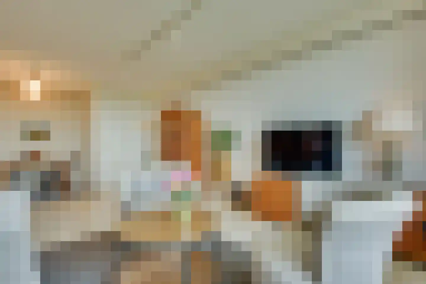 Dokter van Stratenweg 653 Gorinchem thumbnail 8