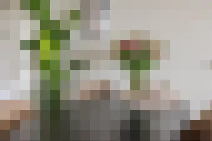 Dokter van Stratenweg 667 Gorinchem thumbnail 11
