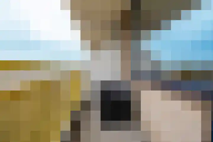 Dokter van Stratenweg 667 Gorinchem thumbnail 17