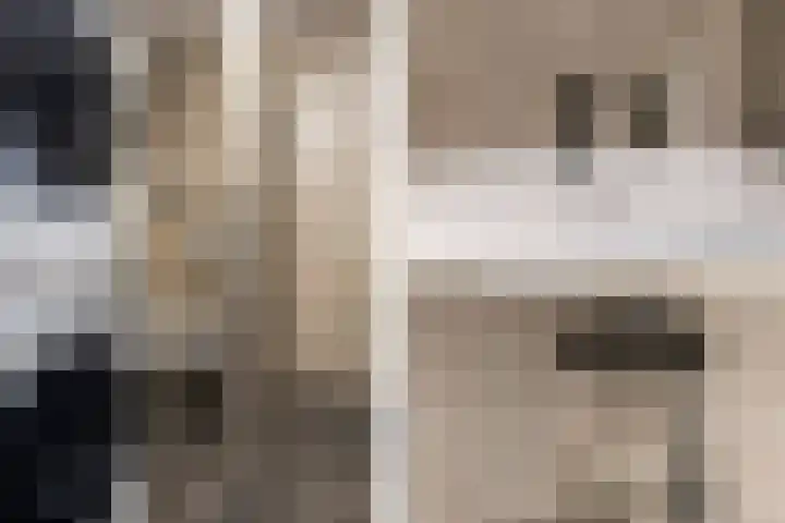 Dokter van Stratenweg 667 Gorinchem thumbnail 20