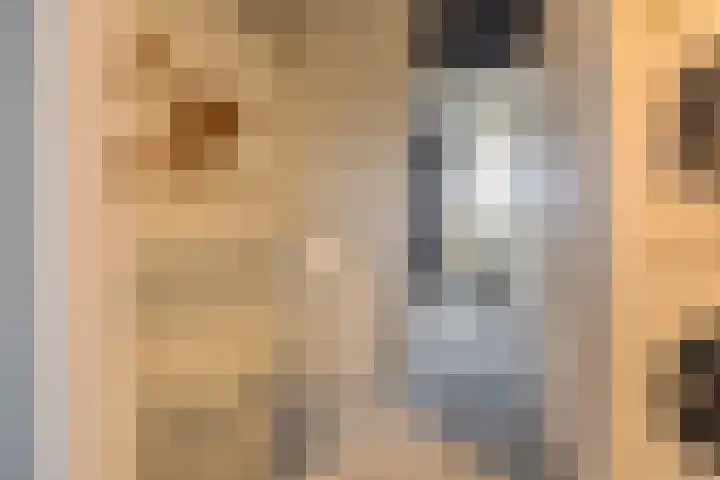 Dokter van Stratenweg 667 Gorinchem thumbnail 21