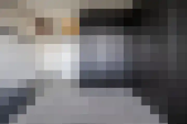 Dokter van Stratenweg 667 Gorinchem thumbnail 23