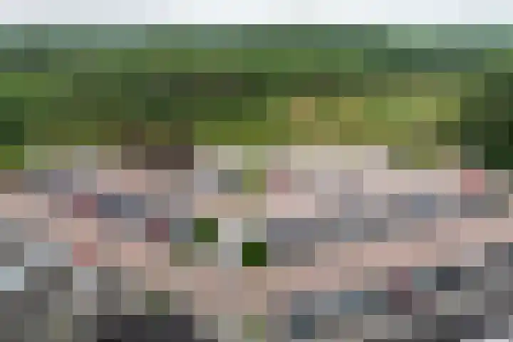 Dokter van Stratenweg 667 Gorinchem thumbnail 26