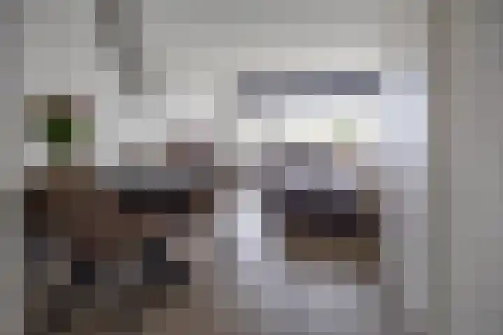 Dokter van Stratenweg 667 Gorinchem thumbnail 5