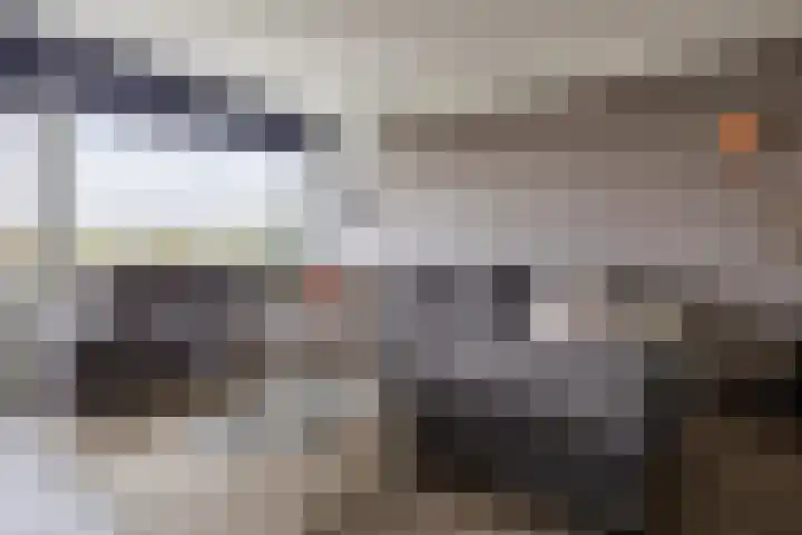 Dokter van Stratenweg 667 Gorinchem thumbnail 6