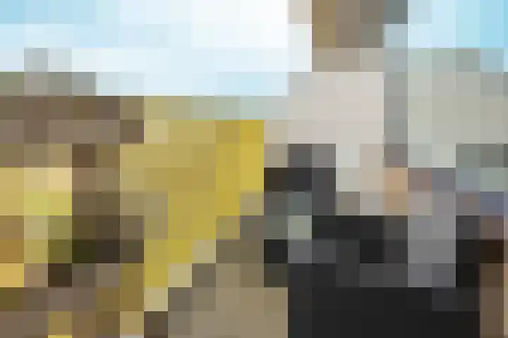 Dokter van Stratenweg 667 Gorinchem thumbnail 8