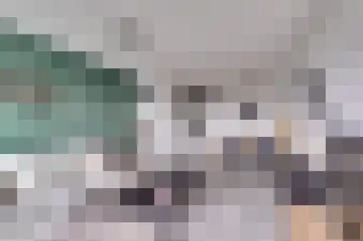 Dokter van Stratenweg 669 Gorinchem thumbnail 11