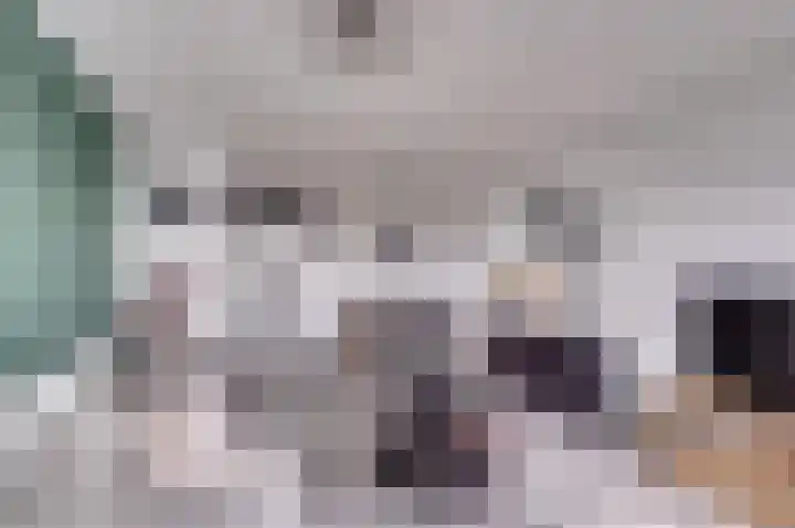 Dokter van Stratenweg 669 Gorinchem thumbnail 12