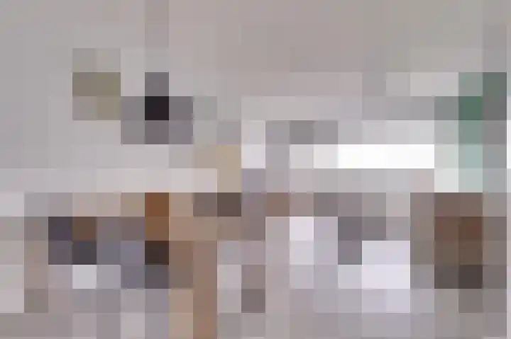 Dokter van Stratenweg 669 Gorinchem thumbnail 13