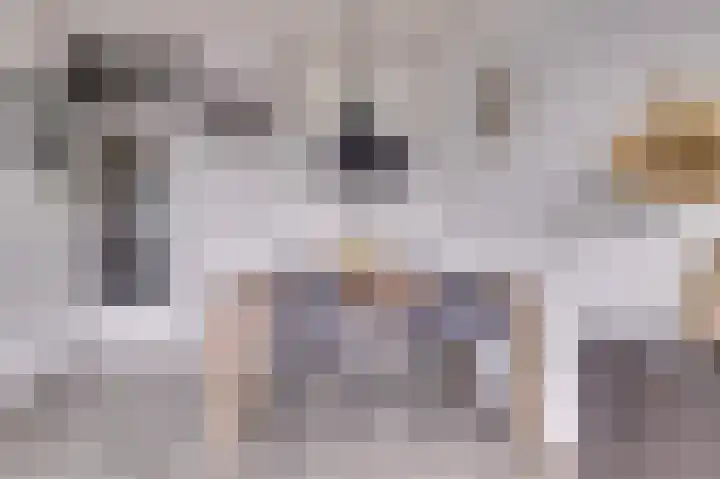Dokter van Stratenweg 669 Gorinchem thumbnail 16