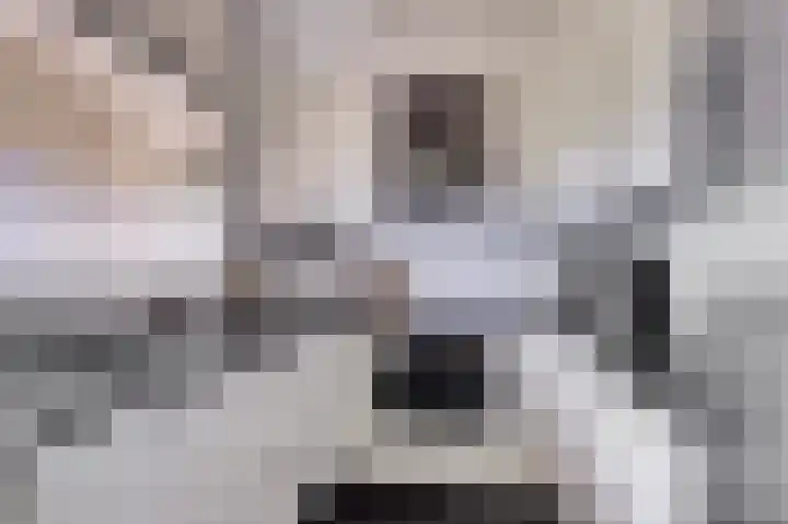 Dokter van Stratenweg 669 Gorinchem thumbnail 17