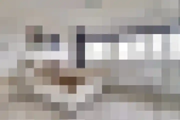 Dokter van Stratenweg 669 Gorinchem foto 2