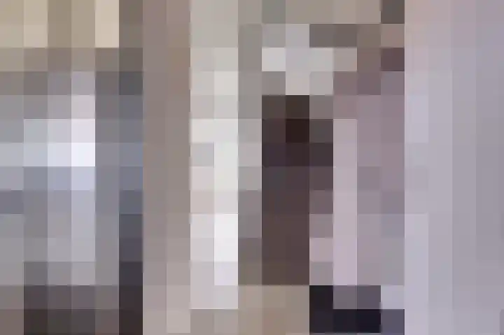 Dokter van Stratenweg 669 Gorinchem thumbnail 20