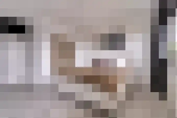 Dokter van Stratenweg 669 Gorinchem thumbnail 23