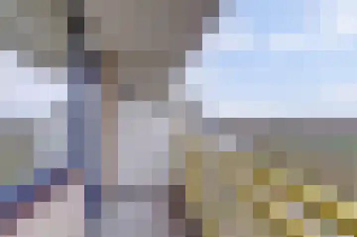 Dokter van Stratenweg 669 Gorinchem thumbnail 27
