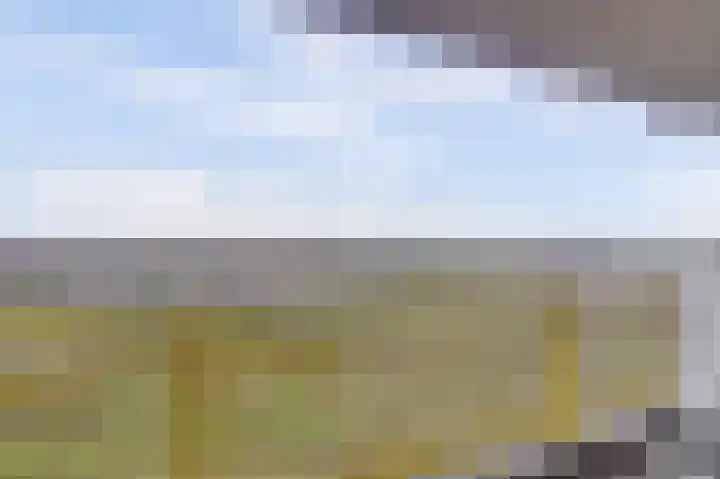 Dokter van Stratenweg 669 Gorinchem thumbnail 28