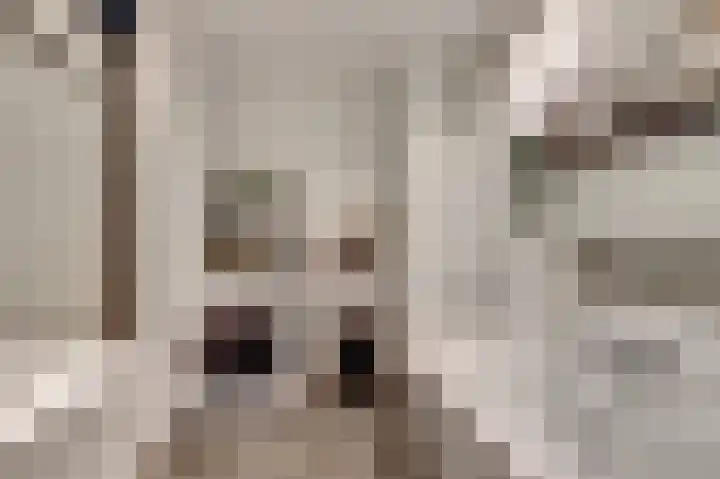 Dokter van Stratenweg 669 Gorinchem thumbnail 29
