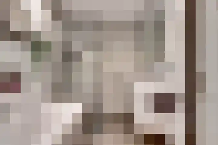 Dokter van Stratenweg 669 Gorinchem foto 3