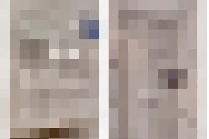 Dokter van Stratenweg 669 Gorinchem thumbnail 30