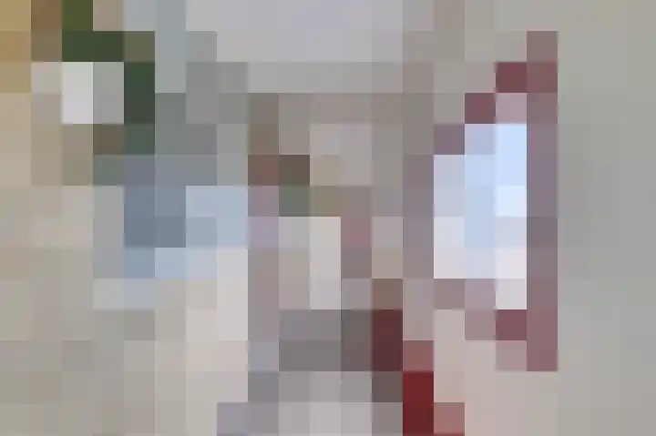 Dokter van Stratenweg 669 Gorinchem thumbnail 31