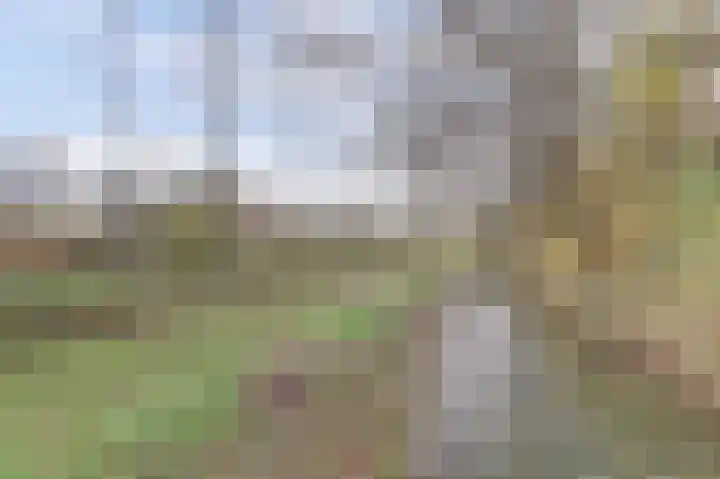 Dokter van Stratenweg 669 Gorinchem thumbnail 38