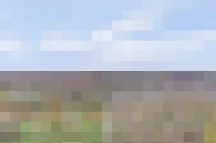 Dokter van Stratenweg 669 Gorinchem thumbnail 4