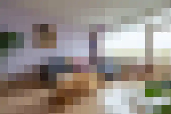 Dokter van Stratenweg 740 Gorinchem thumbnail 4