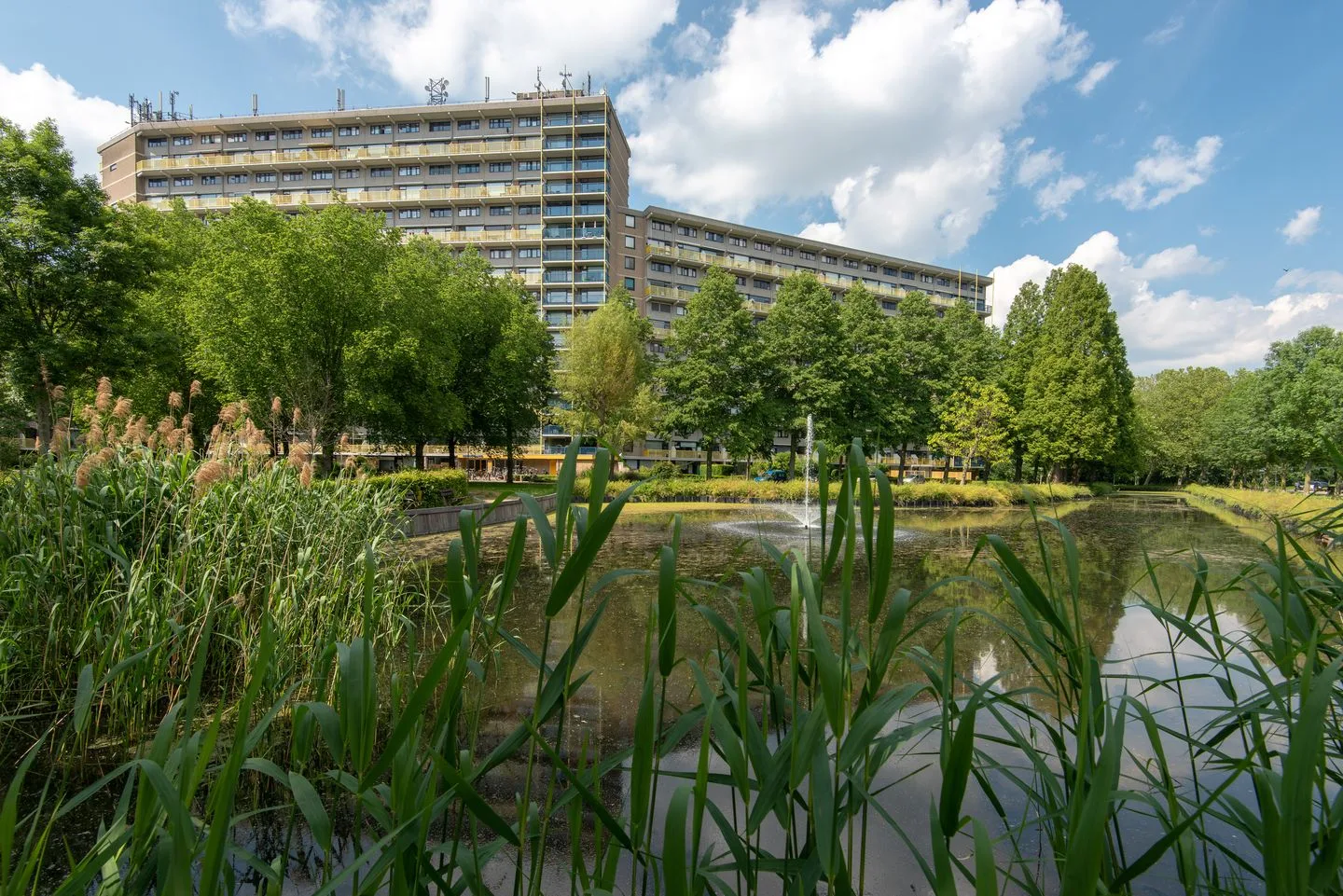 Dokter van Stratenweg 744 Gorinchem thumbnail 17