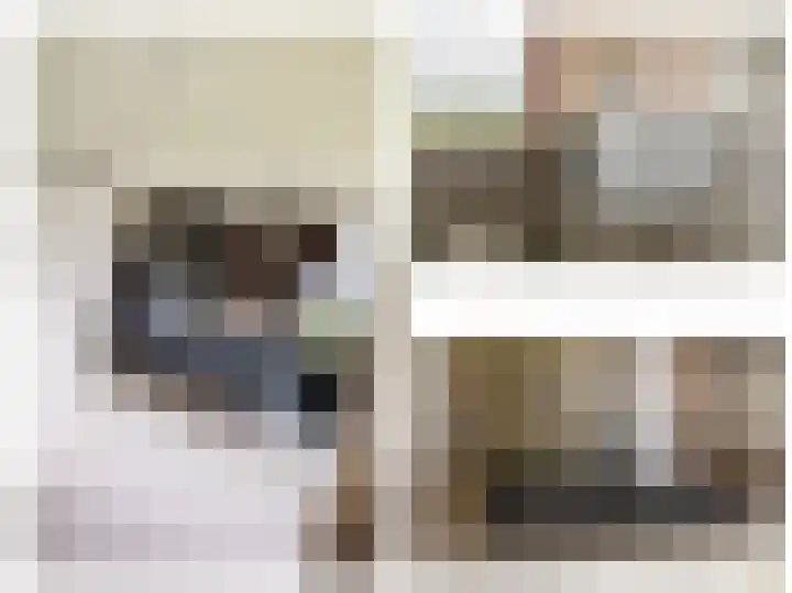 Dokter van Stratenweg 748 Gorinchem thumbnail 12