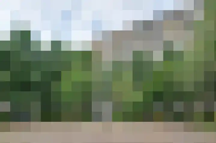 Dokter van Stratenweg 748 Gorinchem thumbnail 26