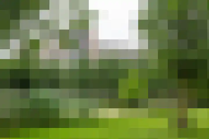 Dokter van Stratenweg 748 Gorinchem thumbnail 4