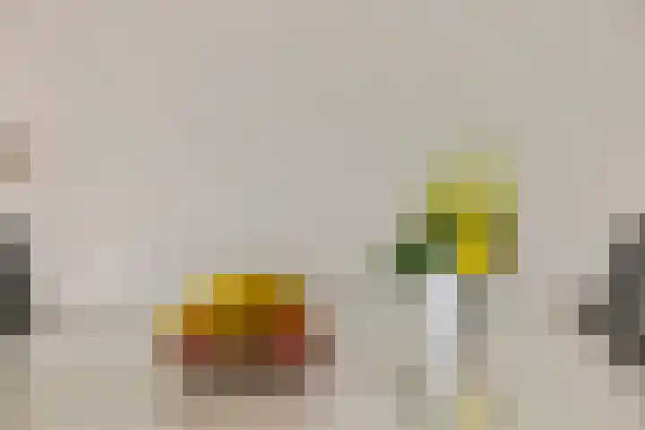 Dokter van Stratenweg 748 Gorinchem thumbnail 6