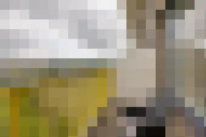 Dokter van Stratenweg 748 Gorinchem thumbnail 9