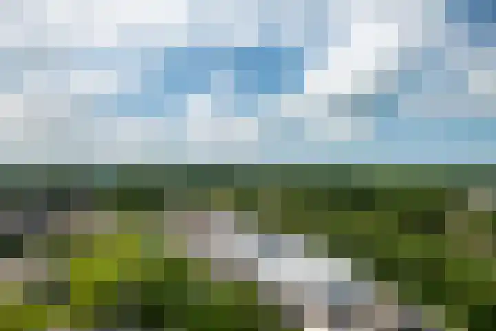 Dokter van Stratenweg 837 Gorinchem thumbnail 12