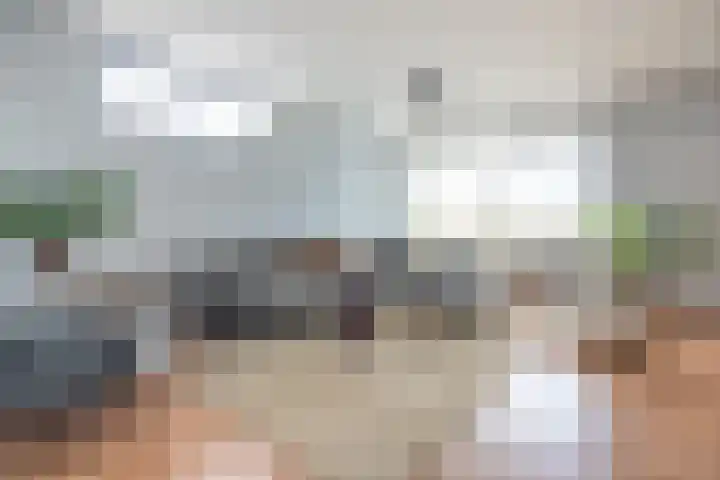 Dokter van Stratenweg 837 Gorinchem thumbnail 15