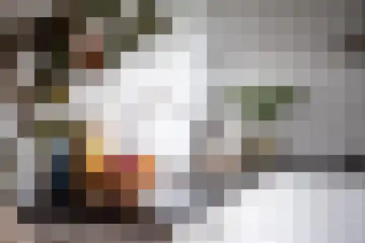 Dokter van Stratenweg 837 Gorinchem thumbnail 8