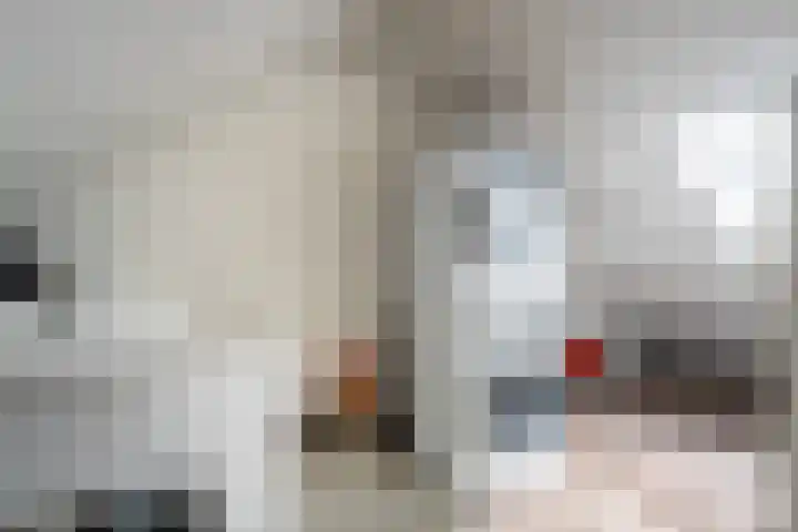 Dokter van Vuurestraat 29 Dussen thumbnail 19