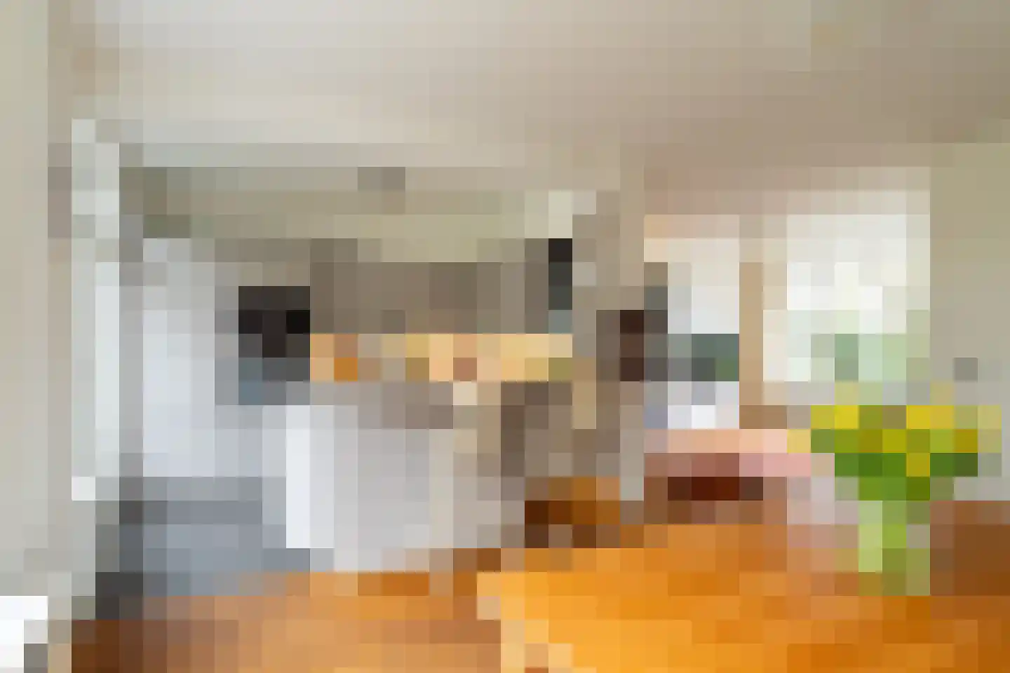 Dokter van Vuurestraat 58 Dussen thumbnail 11