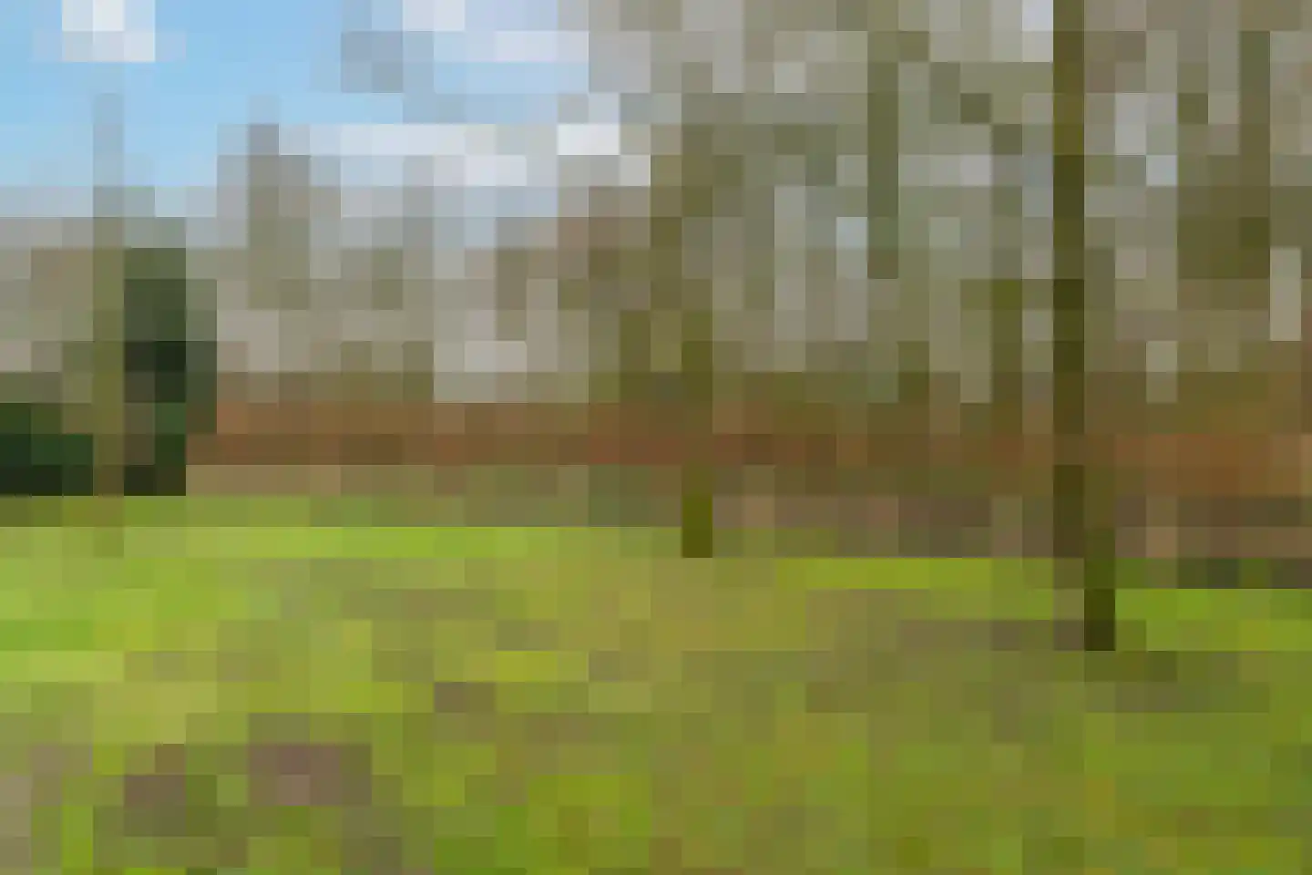 Dokter van Vuurestraat 58 Dussen thumbnail 36