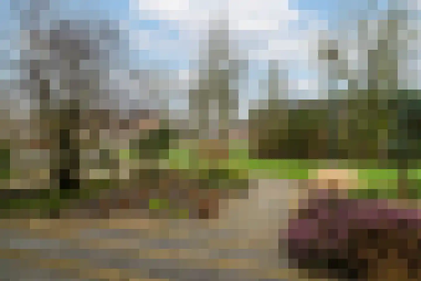 Dokter van Vuurestraat 58 Dussen thumbnail 4