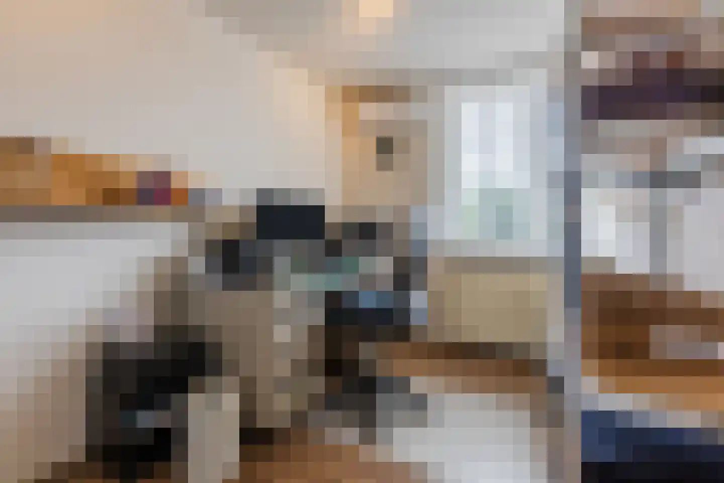 Dokter van Vuurestraat 6 Dussen thumbnail 17
