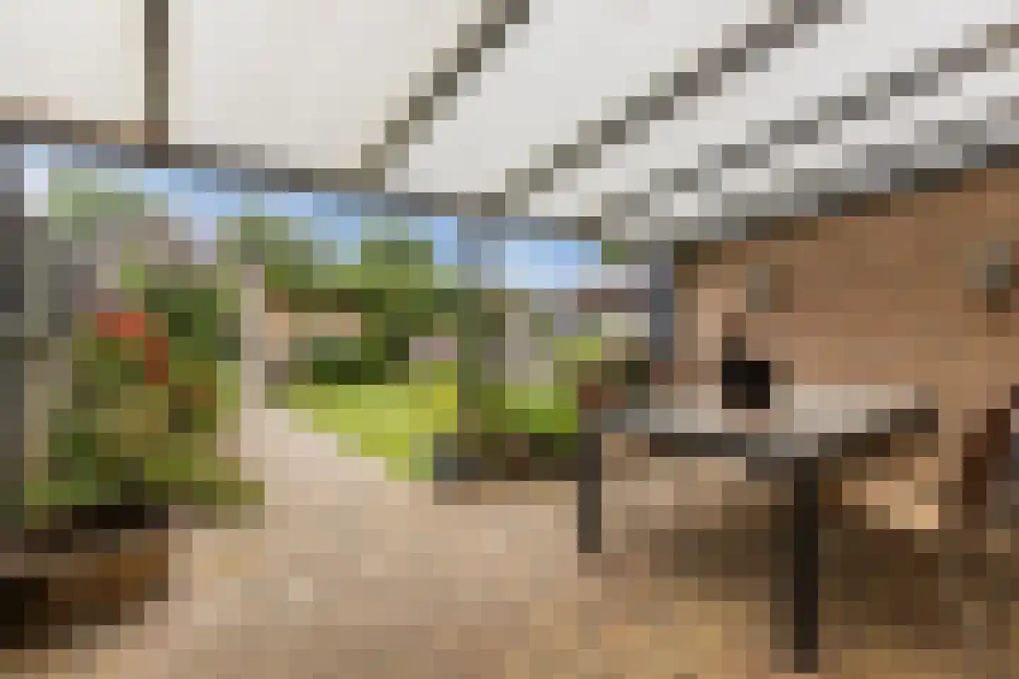 Dokter van Vuurestraat 6 Dussen thumbnail 25
