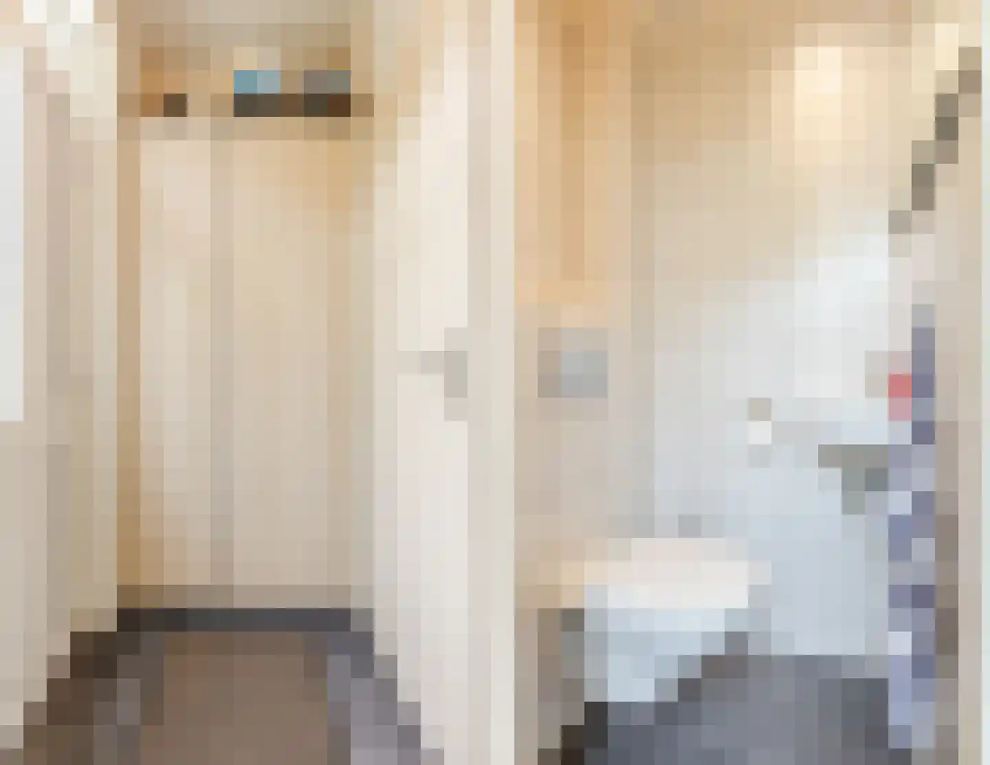 Dokter van Vuurestraat 6 Dussen foto 3