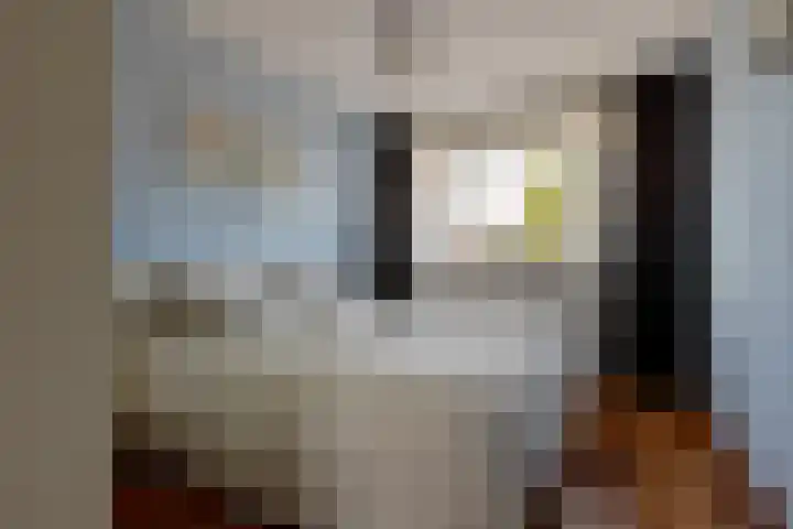Dokter Van Westendorplaan 21 Moordrecht thumbnail 4