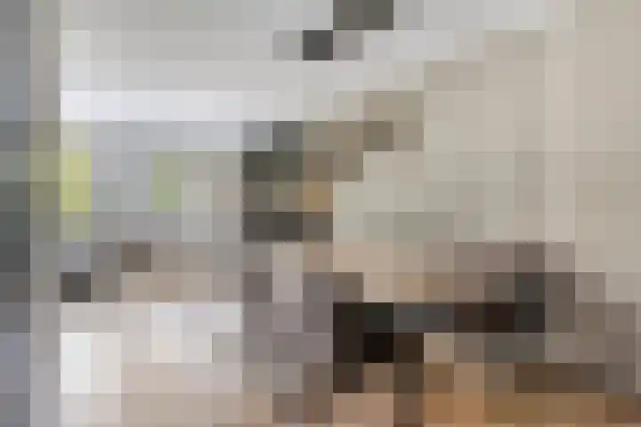 Dokter van Wieringenstraat 25 Waardenburg thumbnail 13