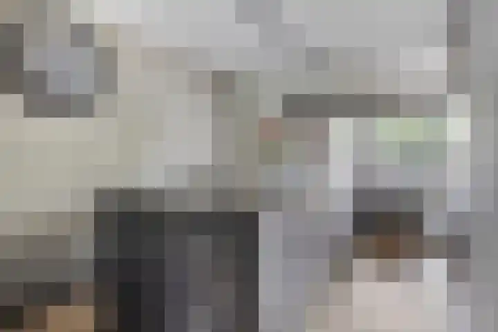 Dokter van Wieringenstraat 25 Waardenburg thumbnail 14