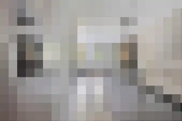 Dokter van Wieringenstraat 25 Waardenburg thumbnail 16
