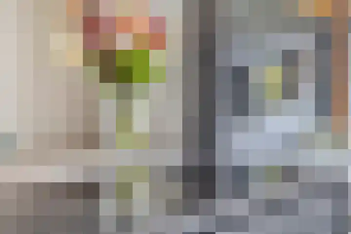 Dokter van Wieringenstraat 25 Waardenburg thumbnail 18
